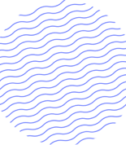 edumall-shape-01