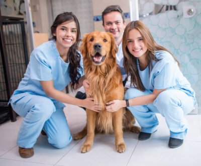 auxiliar-veterinaria-formacao