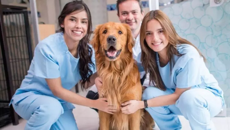 Curso de Auxiliar de Veterinário e Pet Shop